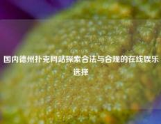 国内德州扑克网站探索合法与合规的在线娱乐选择