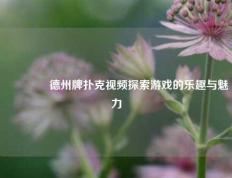 🏅德州牌扑克视频探索游戏的乐趣与魅力
