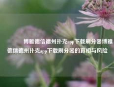 👈博雅德信德州扑克app下载刷分器博雅德信德州扑克app下载刷分器的真相与风险