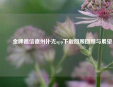 ✌️金牌德信德州扑克app下载回顾回顾与展望