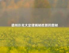 德州扑克大定律揭秘胜算的奥秘