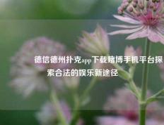 👍德信德州扑克app下载赌博手机平台探索合法的娱乐新途径