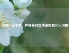 德州扑克苹果一种独特的游戏策略和文化现象