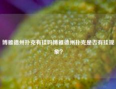 博雅德州扑克有挂吗博雅德州扑克是否有挂现象？