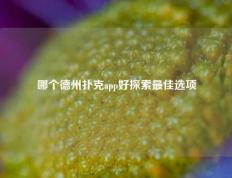 哪个德州扑克app好探索最佳选项