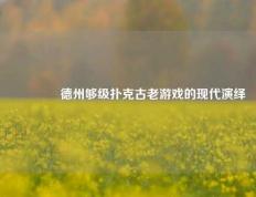 🥈德州够级扑克古老游戏的现代演绎