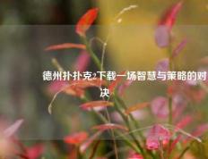 🥉德州扑扑克2下载一场智慧与策略的对决