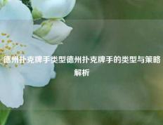 德州扑克牌手类型德州扑克牌手的类型与策略解析