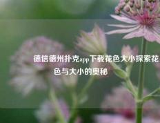 🏆德信德州扑克app下载花色大小探索花色与大小的奥秘