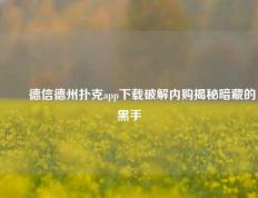 ✌️德信德州扑克app下载破解内购揭秘暗藏的黑手