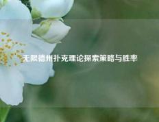 无限德州扑克理论探索策略与胜率