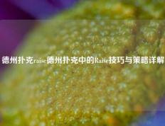德州扑克raise德州扑克中的Raise技巧与策略详解