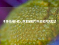 博雅德州扑克6.2探索策略与乐趣的完美结合