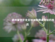 👉德州豪登扑克全球顶级牌桌体验的首选
