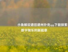 🎖️小鱼解说德信德州扑克app下载探索数字娱乐的新篇章