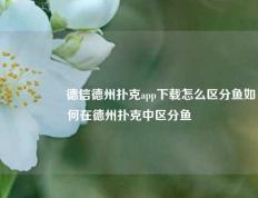 🎖️德信德州扑克app下载怎么区分鱼如何在德州扑克中区分鱼