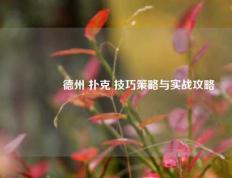 🥉德州 扑克 技巧策略与实战攻略