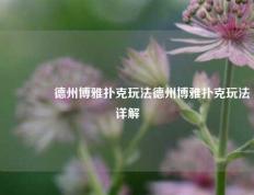 🥈德州博雅扑克玩法德州博雅扑克玩法详解