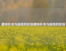 德州扑克与梭哈的区别德州扑克与梭哈的区别