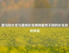 奥马哈扑克与德州扑克两种截然不同的扑克游戏体验
