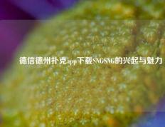 ✌️德信德州扑克app下载SNGSNG的兴起与魅力