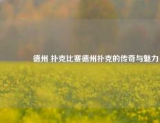 🥈德州 扑克比赛德州扑克的传奇与魅力