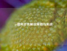 ps德州扑克解说策略与实战