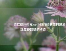 👈德信德州扑克app下载竞技联盟构建全球竞技联盟的桥梁