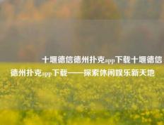 🎖️十堰德信德州扑克app下载十堰德信德州扑克app下载——探索休闲娱乐新天地