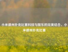 小米德州扑克比赛科技与娱乐的完美结合，小米德州扑克比赛