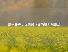 德州扑克 drwk德州扑克的魅力与挑战