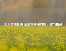 天天德州扑克 全屏畅享游戏的乐趣与挑战