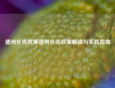 德州扑克政策德州扑克政策解读与实践指南
