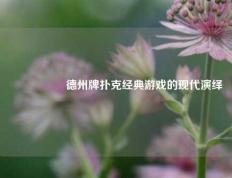 🎖️德州牌扑克经典游戏的现代演绎