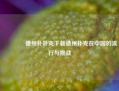 🥇德州扑扑克下载德州扑克在中国的流行与挑战
