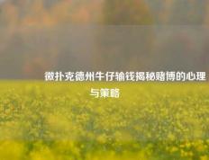 🥉微扑克德州牛仔输钱揭秘赌博的心理与策略