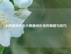 小额德州扑克小额德州扑克的策略与技巧