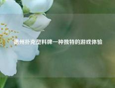 德州扑克塑料牌一种独特的游戏体验