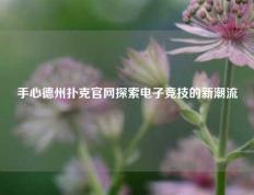 手心德州扑克官网探索电子竞技的新潮流