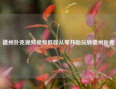 德州扑克视频视频教程从零开始玩转德州扑克
