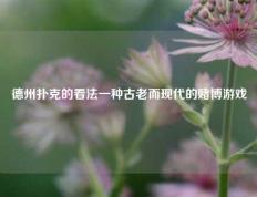 德州扑克的看法一种古老而现代的赌博游戏