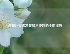 德州扑克练习策略与技巧的全面提升