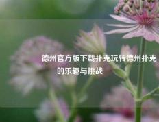 🎖️德州官方版下载扑克玩转德州扑克的乐趣与挑战