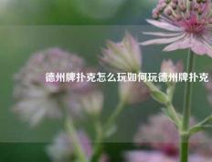 🥈德州牌扑克怎么玩如何玩德州牌扑克