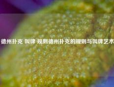 德州扑克 叫牌 规则德州扑克的规则与叫牌艺术