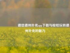 🎖️德信德州扑克app下载与梭哈玩转德州扑克的魅力