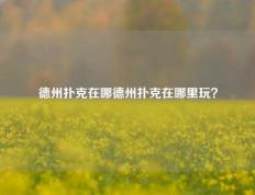 德州扑克在哪德州扑克在哪里玩？