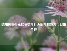 德州免费扑克比赛德州扑克的神秘魅力与自由乐趣