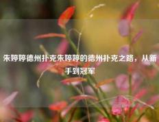 朱婷婷德州扑克朱婷婷的德州扑克之路，从新手到冠军