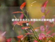 🌈德州扑扑克怎么算牌如何计算牌局胜率
